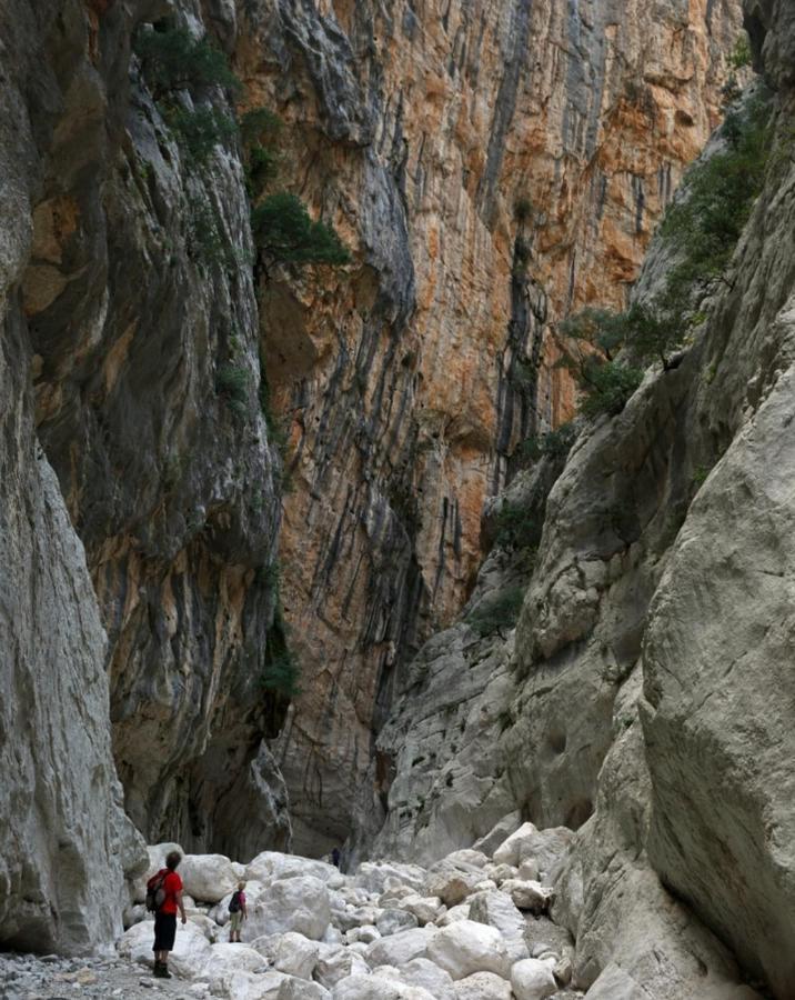 Appartamento A 50 Mt Dal Mare Cala Gonone Kültér fotó